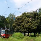 Konstal 105Na #487
