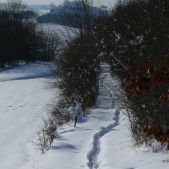 Widok z Bukowej