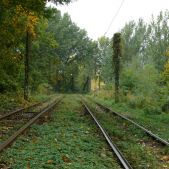 Torowisko opętane zielenią