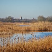 Fen Drayton