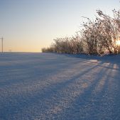 Zimowy Krajobraz