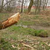 Dolina Prądnika