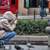 Fotograf gołębi