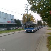 Jelcz M181MB #DD424