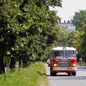Ikarus 620.54 #118