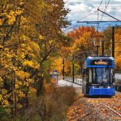 Stadler Tango #RY834