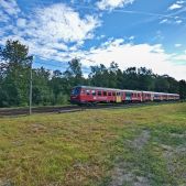 SN84-001
