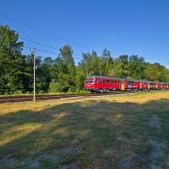 SN84-003