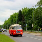 Jelcz 272 MEX #341