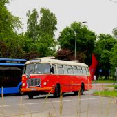 Jelcz 272 MEX #341
