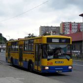 Jelcz 120MM/1 #240
