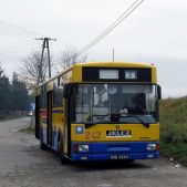 Jelcz 120MM/1 #242