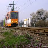 Konstal 105Na #240+239