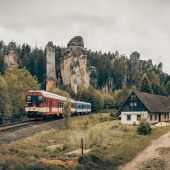 843-010