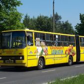 Ikarus 280.26 #DK262