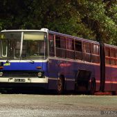 Ikarus 280.26 #BK004