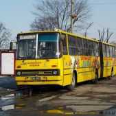 Ikarus 280.26 #DK262