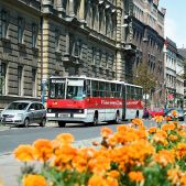 Ikarus 280.26 #DK280