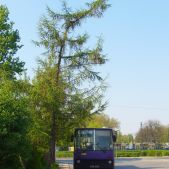 Ikarus 280.26 #DK008
