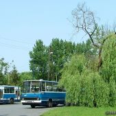 Ikarus 280.26 #DK258