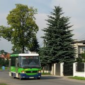 Jelcz M081MB #DH351