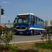 Jelcz M081MB #BH386