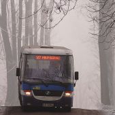 Jelcz M081MB #BH392