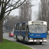 Jelcz 120M #BF219