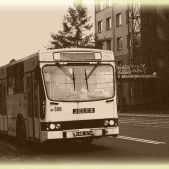 Jelcz 120M #BF306