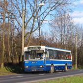 Jelcz M121MB #DJ614