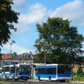 Jelcz M121MB #DJ674