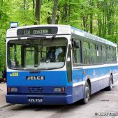Jelcz M121MB #DJ620