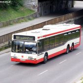 Neoplan N4020 #2602