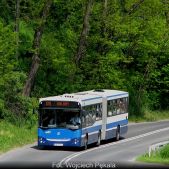 Jelcz M181MB #DD471