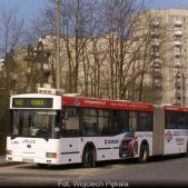 Jelcz M181MB #DD444