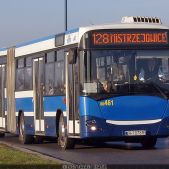 Jelcz M181MB #DD461