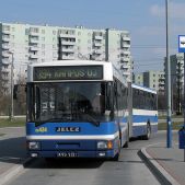 Jelcz M181MB #DD434