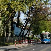 Jelcz M181MB #DD488