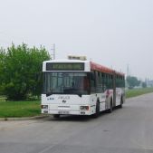 Jelcz M181MB #DD444