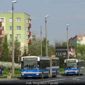 Jelcz M181MB #DD403