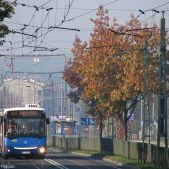 Jelcz M181MB #DD491