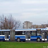 Jelcz M181MB #DD461
