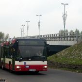 MAN NG313 #501