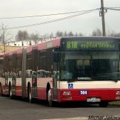 MAN NG313 #504