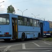 Ikarus 260.04 #SK 50341