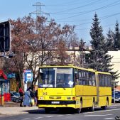 Ikarus 280.26 #202