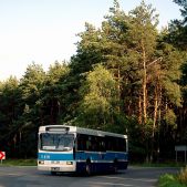 Jelcz M121M #1419