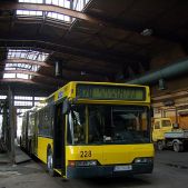 Neoplan N4021 #228