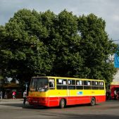 Ikarus 260.04 #1464