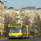Neoplan N4021 #229